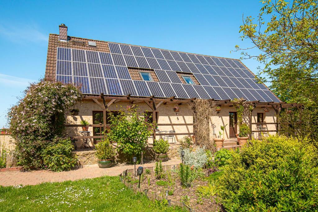 Ferienwohnung Am Walnussbaum Parchtitz 外观 照片